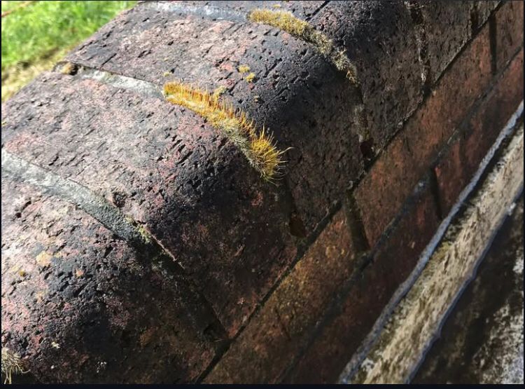 WhatsApp Görsel 2025-01-19 saat 17.46.15_d2a35dc6